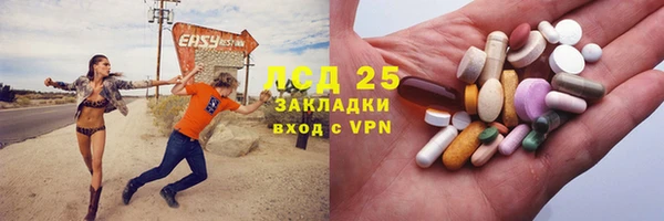 хмурый Пересвет