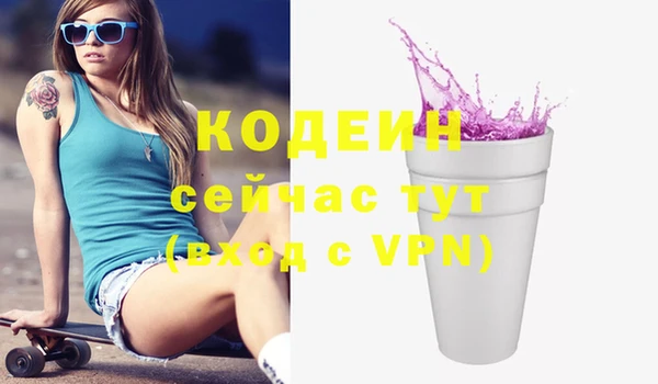хмурый Пересвет