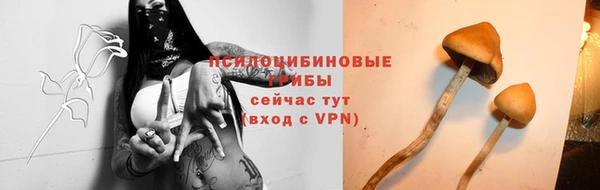 MESCALINE Алзамай